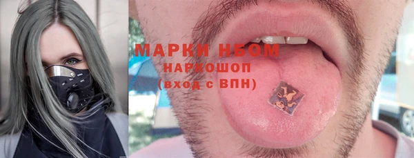 хмурый Алзамай