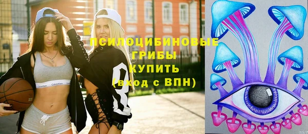 хмурый Алзамай
