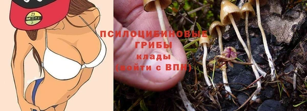 амфетамин Алексин