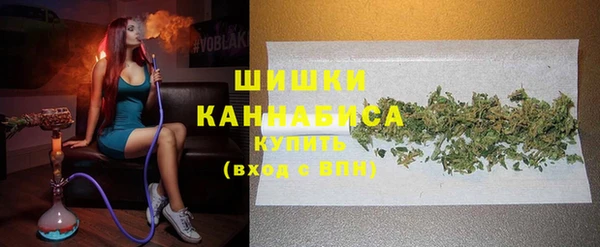 хмурый Алзамай
